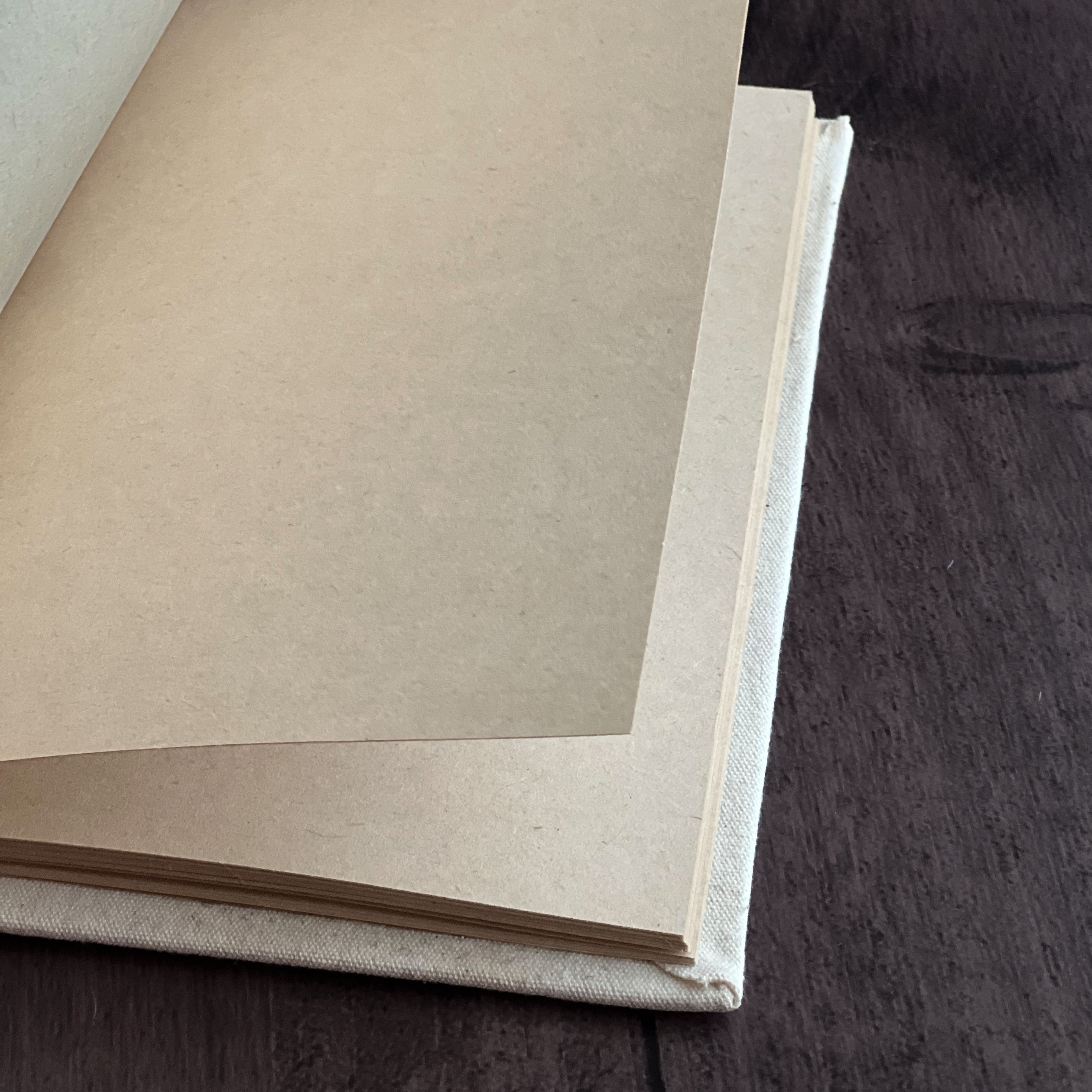 The Bee Notebook